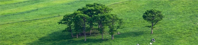 自然を感じるスポット散策