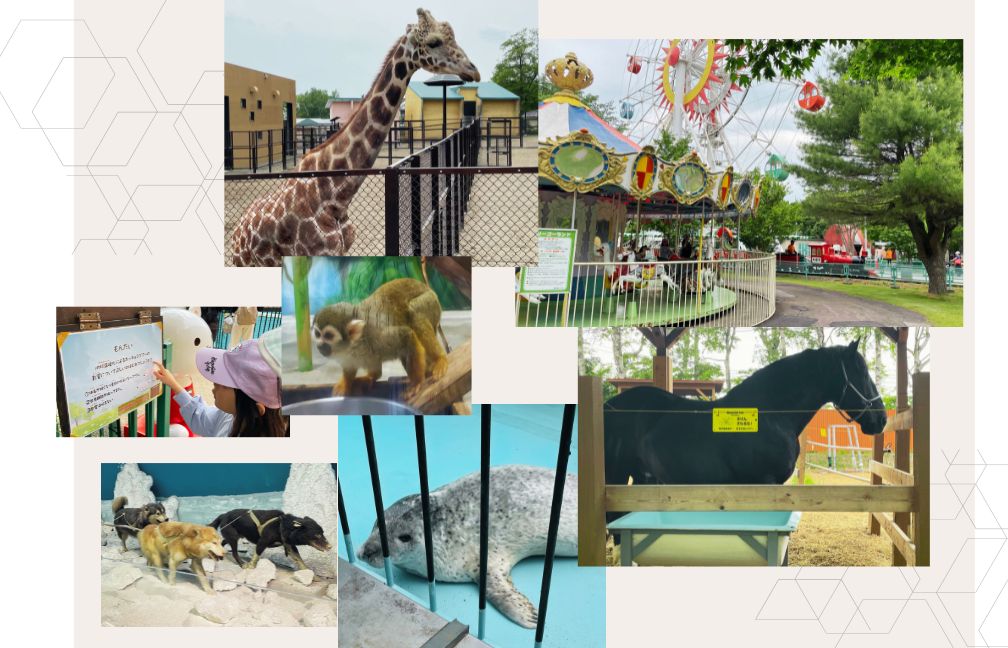 おびひろ動物園